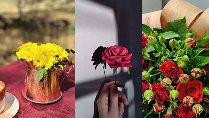 جدیدترین عکس گل زیبا و خاص برای صفحه مجازی خود و یا استوری