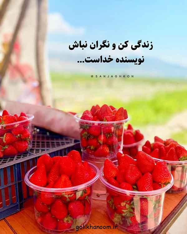 پروفایل زیبا با متن 2024؛ برای استوری در فضای مجازی با مضمون‌های متنوع انگیزشی