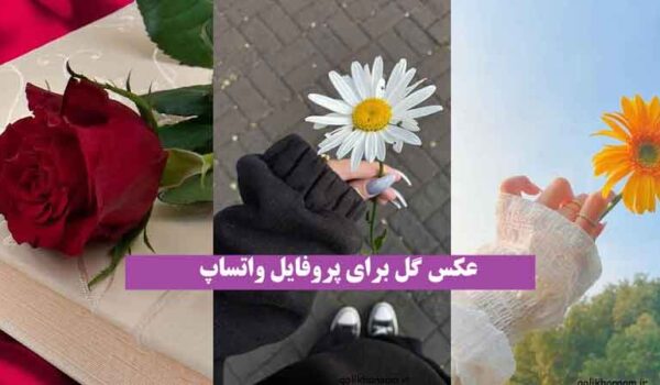 عکس گل برای پروفایل واتساپ