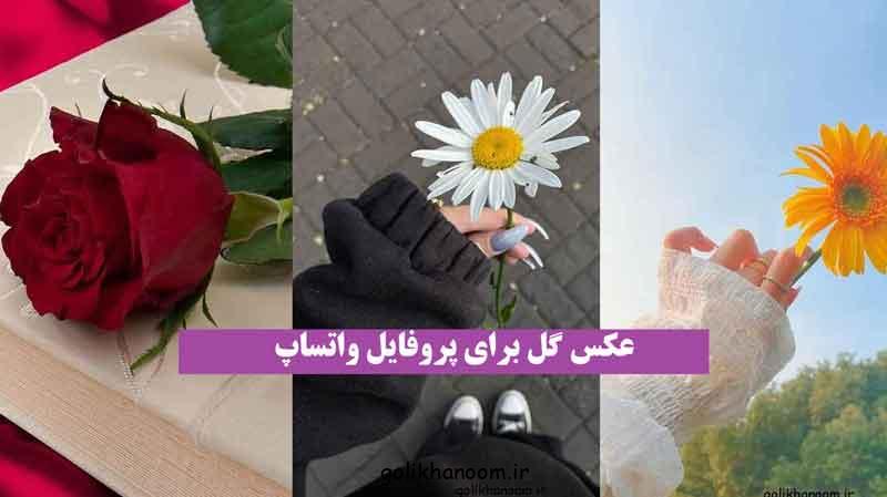 عکس گل برای پروفایل واتساپ