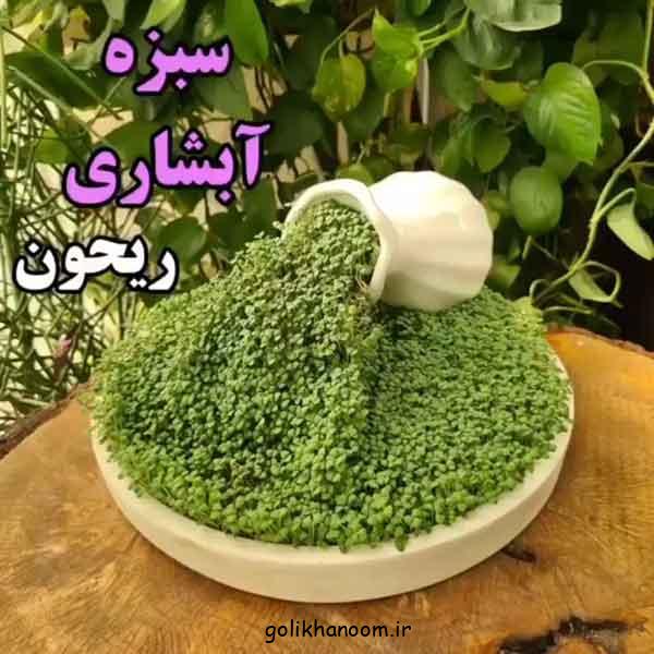 ۷۰ مدل سبزه عید ۱۴۰۴؛ ایده های زیبا و خلاقانه برای نوروز!