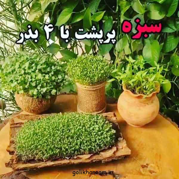 ۷۰ مدل سبزه عید ۱۴۰۴؛ ایده های زیبا و خلاقانه برای نوروز!