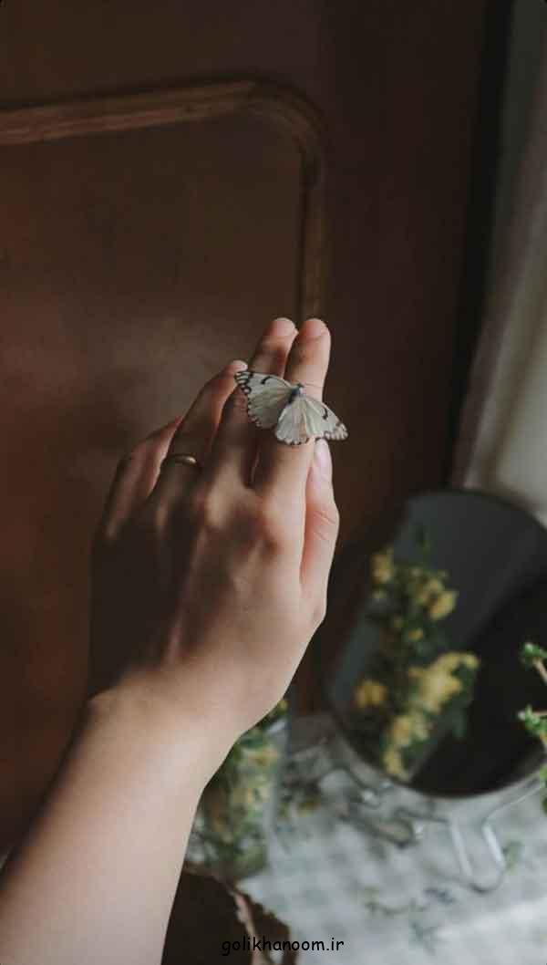 عکس پروانه برای پروفایل