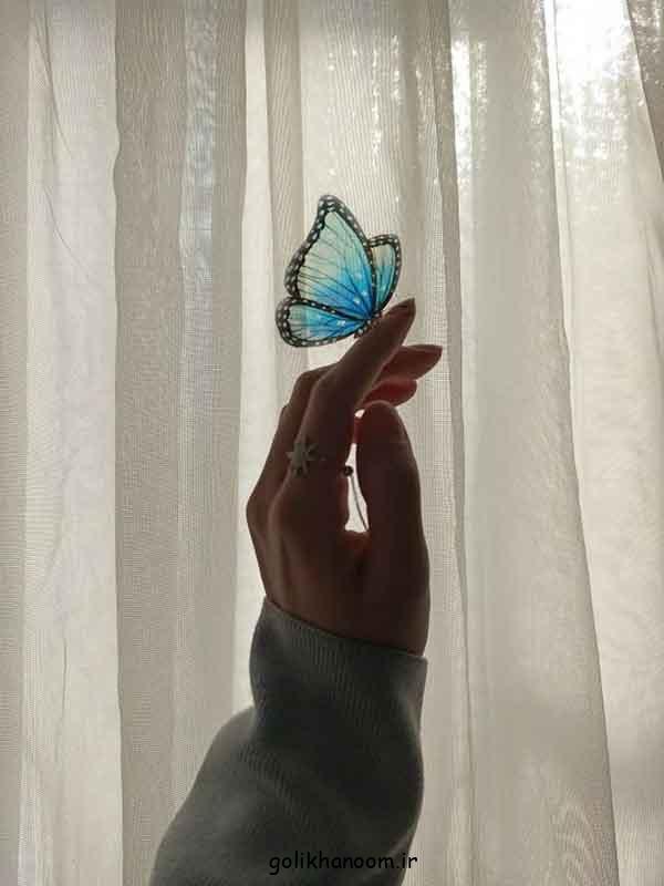 عکس پروانه برای پروفایل