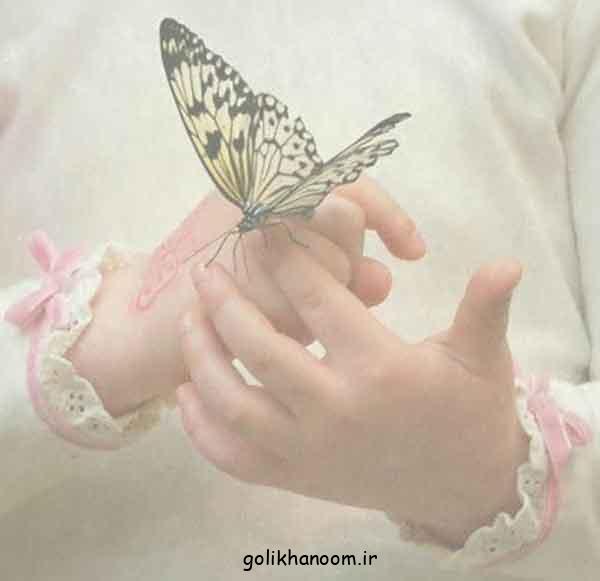 عکس پروانه برای پروفایل