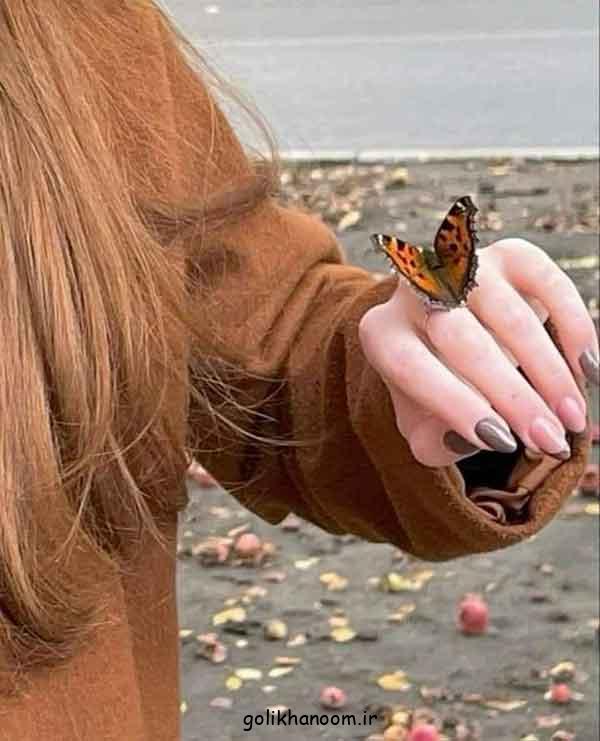 عکس پروانه برای پروفایل