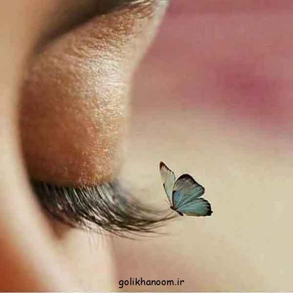 عکس پروانه برای پروفایل
