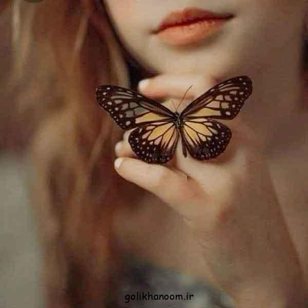 عکس پروانه برای پروفایل