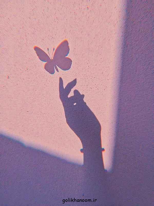 عکس پروانه برای پروفایل