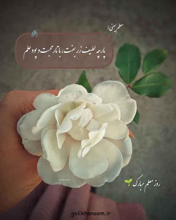 مدل کادو پیچیدن با کاغذ کادو