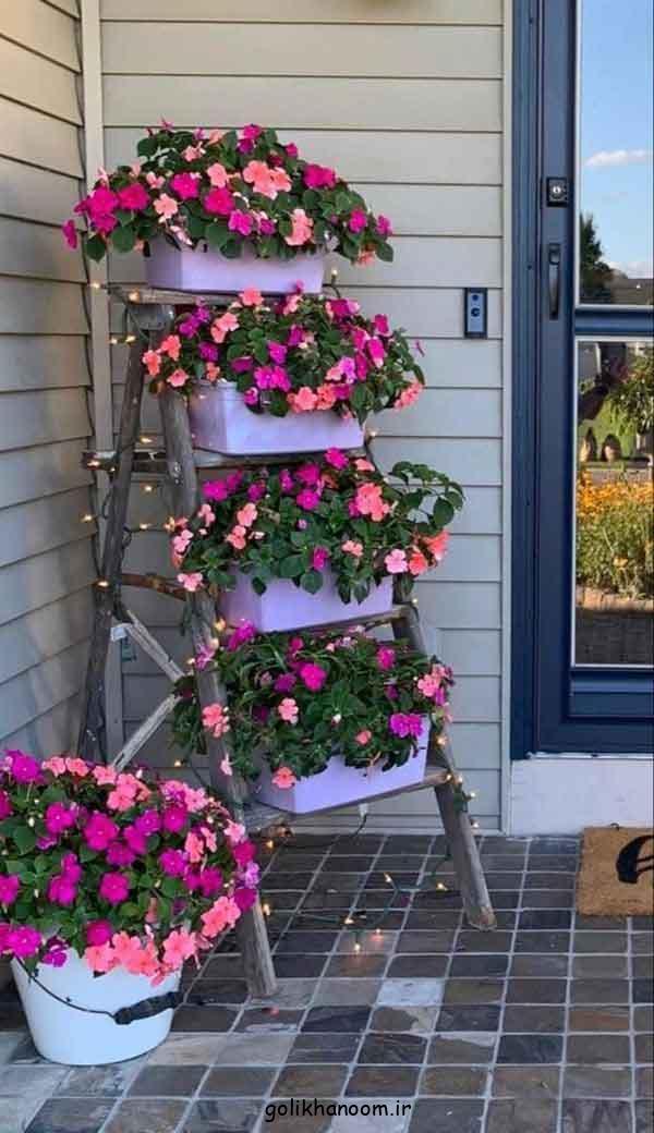 مدل استند گل حیاطی 