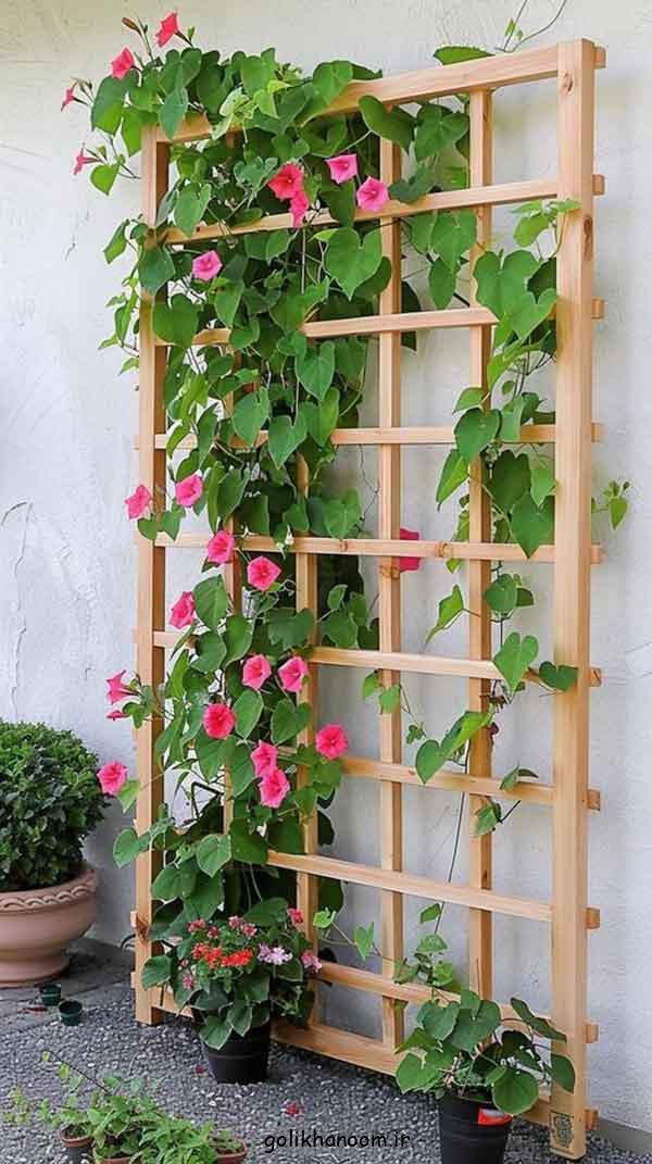 مدل استند گل حیاطی 