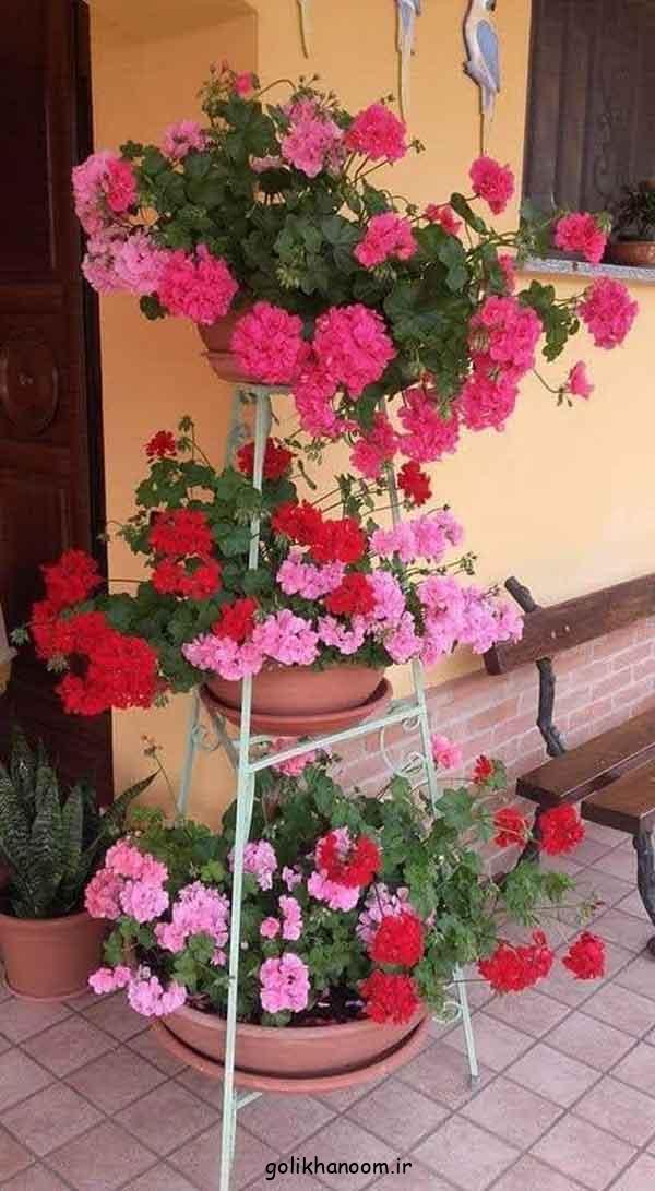 مدل استند گل حیاطی 