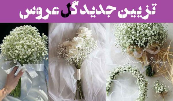 تزیین جدید گل عروس; وقتی ژیپسوفیلا خودش رو برای عروس ستاره می‌کنه–حتما ببینش!