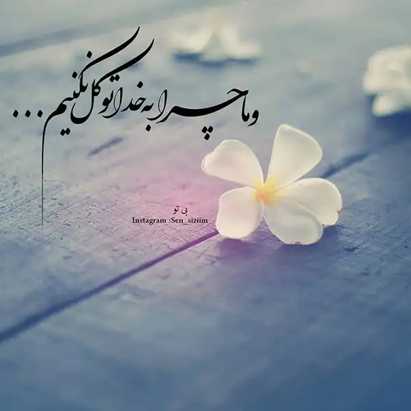 عکس پروفایل خدا / تصاویر کمیاب خاص | خدایا شکرت جدید [پیشنهاد شده+ اینستاگرام]