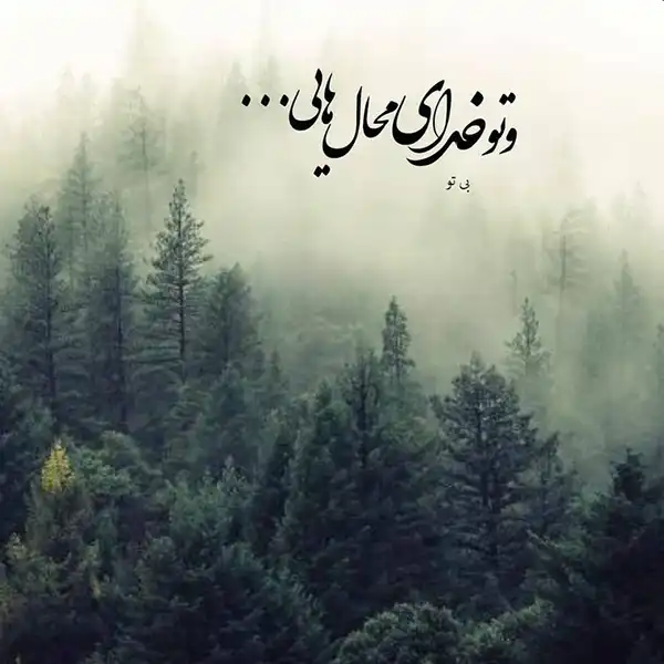 عکس پروفایل خدا / تصاویر کمیاب خاص | خدایا شکرت جدید [پیشنهاد شده+ اینستاگرام]