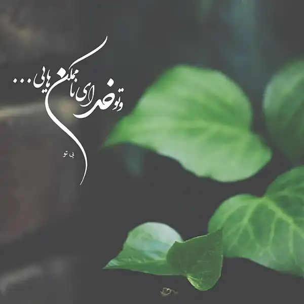عکس پروفایل خدا / تصاویر کمیاب خاص | خدایا شکرت جدید [پیشنهاد شده+ اینستاگرام]