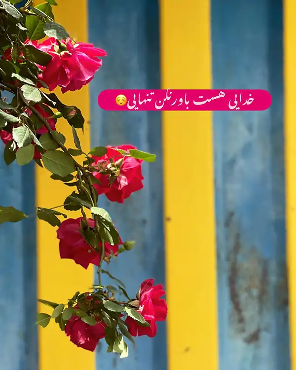 عکس پروفایل خدا / تصاویر کمیاب خاص | خدایا شکرت جدید [پیشنهاد شده+ اینستاگرام]