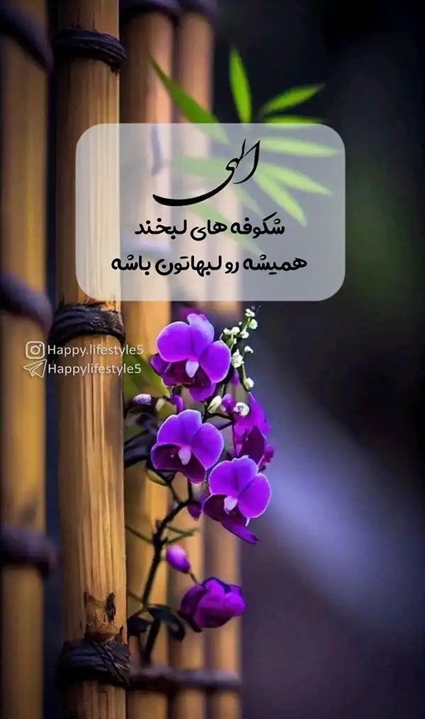 عکس پروفایل خدا / تصاویر کمیاب خاص | خدایا شکرت جدید [پیشنهاد شده+ اینستاگرام]