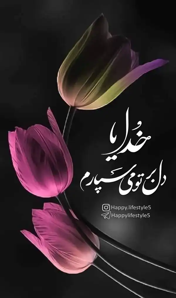 عکس پروفایل خدا / تصاویر کمیاب خاص | خدایا شکرت جدید [پیشنهاد شده+ اینستاگرام]