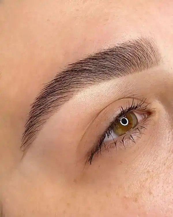 مدل ابرو ۲۰۲۵ | قشنگترین مدل ابرو طبیعی جدید و شیک جوان کننده (ساده,کوتاه بلند)
