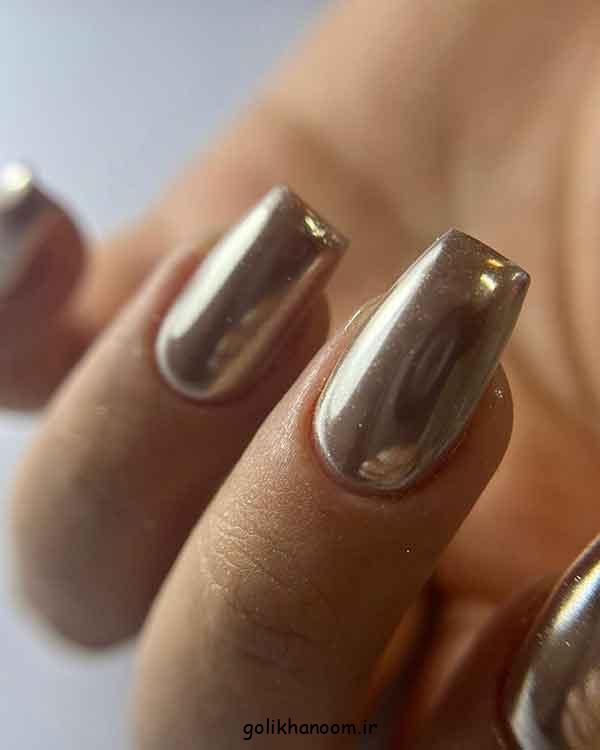 دیزاین ناخن گلدونی جدید: 30 طرح برای انواع کاشت بلند و کوتاه (فرنچ، طراحی ترند)